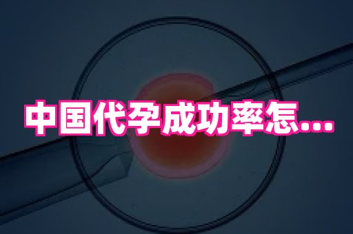 深圳助孕网站 3
