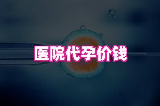 深圳助孕网站 4